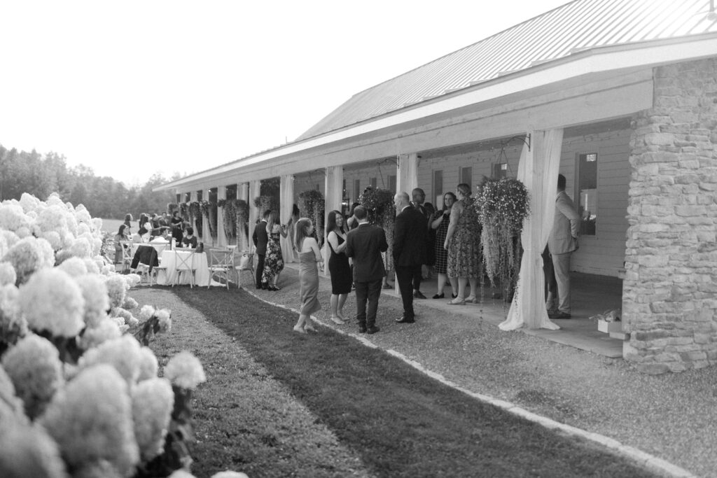 Guests mingling at a wedding cocktail hour.